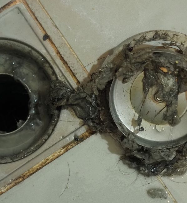 Drain Brain drain cleaning Winnipeg (600 × 652 px) Drain Brain drain cleaning Winnipeg